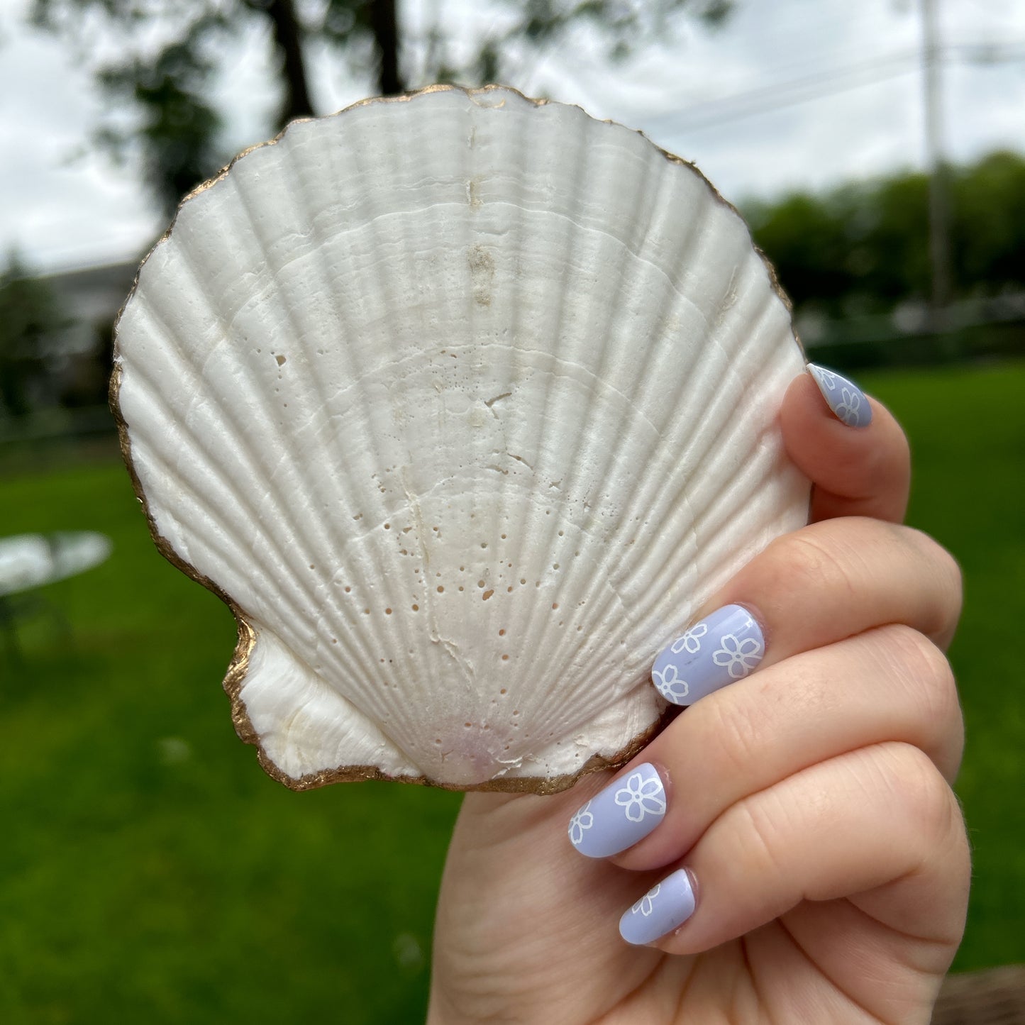 👛Pink seashell tray👛