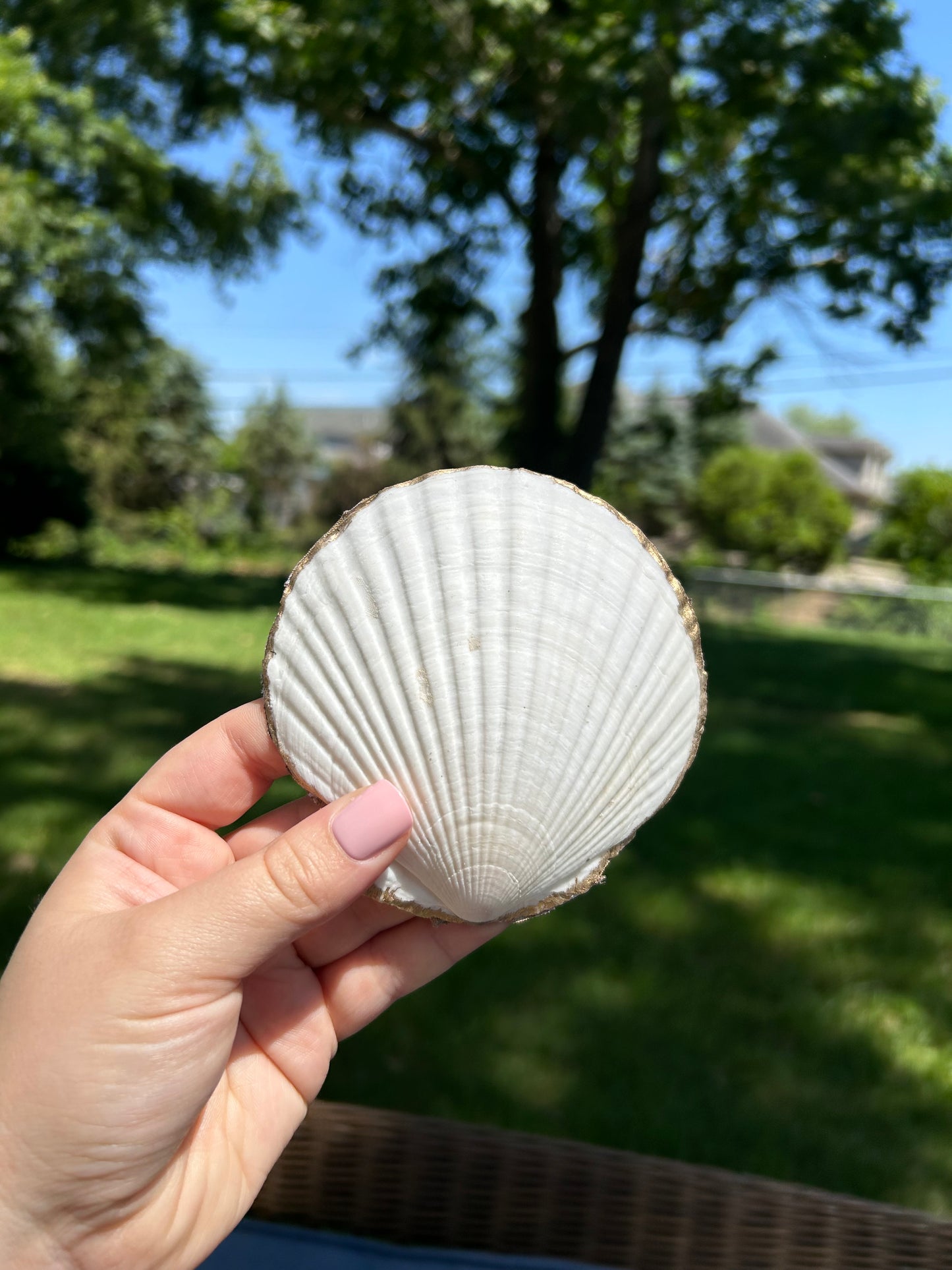 Strawberry seashell jewelry tray